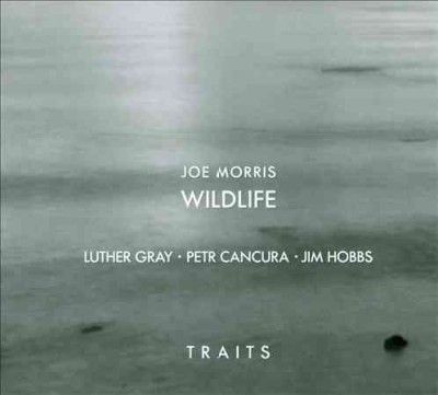 Joe Morris - Traits (CD)