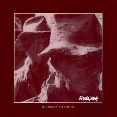 Flourishing - Sum Of All Fossils (CD)