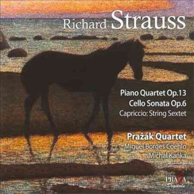 Strauss:Piano Qt Op 13 Cello Son Op 6 - (Import CD)