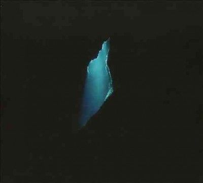 Balam Acab - Wander/wonder (CD)