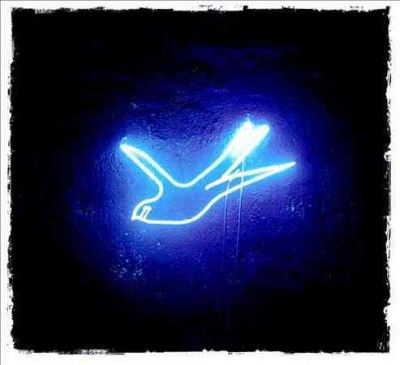 Ollabelle - Neon Blue Bird (CD)