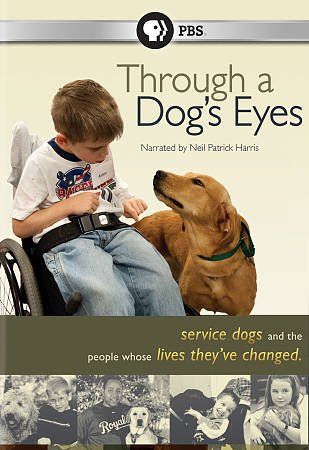 Through a Dog's Eyes - (Region 1 Import DVD)