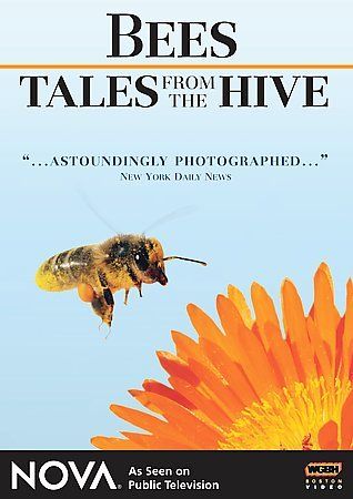 Bees:Tales from the Hive - (Region 1 Import DVD)