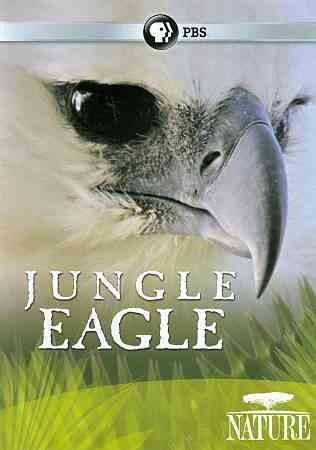 Nature:Jungle Eagle - (Region 1 Import DVD)