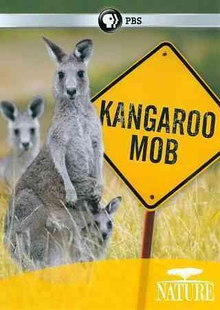 Nature:Kangaroo Mob - (Region 1 Import DVD)