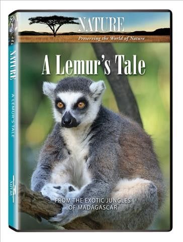 Nature:Lemur's Tale - (Region 1 Import DVD)