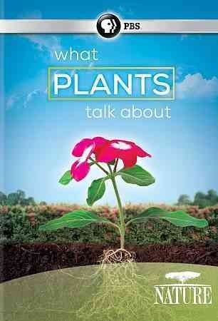 Nature:What Plants Talk About - (Region 1 Import DVD)
