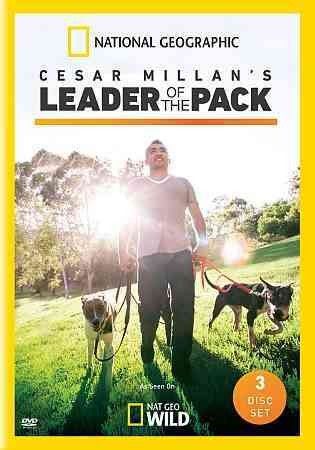 Cesar Millan:Leader of The Pack - (Region 1 Import DVD)