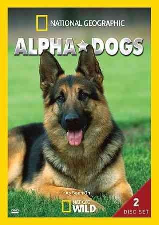 Alpha Dogs - (Region 1 Import DVD)