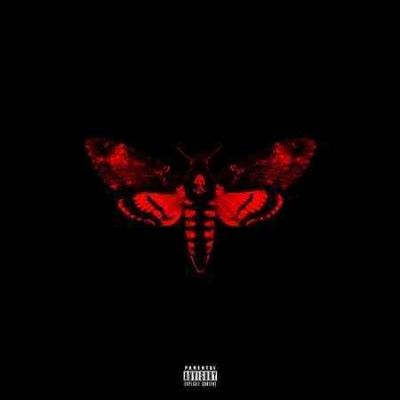 I Am Not A Human Being II (CD)