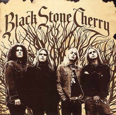Black Stone Cherry (CD)