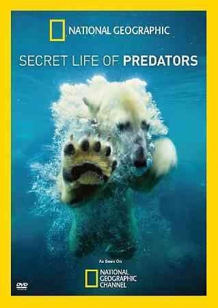 Secret Life of Predators - (Region 1 Import DVD)