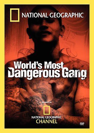 World's Most Dangerous Gang - (Region 1 Import DVD)