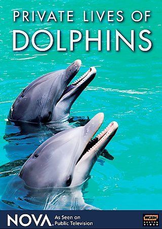 Private Lives of Dolphins - (Region 1 Import DVD)