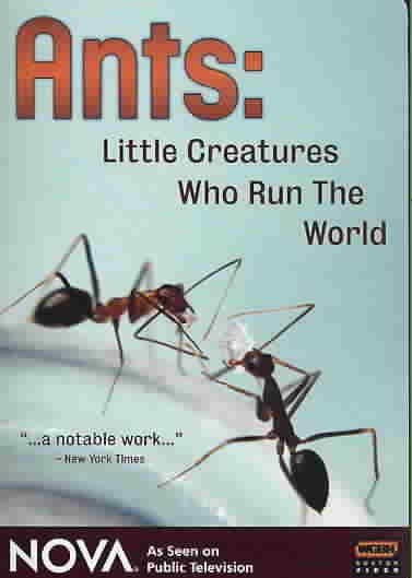 Ants - Little Creatures Who Run the World - (Region 1 Import DVD)