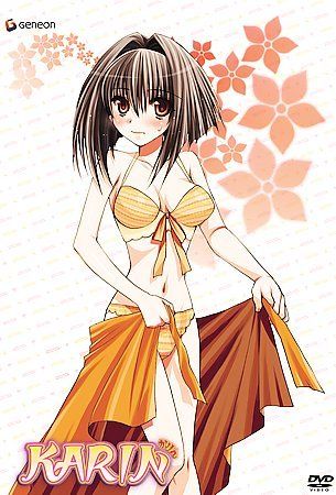 Karin Vol 7:Thicker Than Blood - (Region 1 Import DVD)