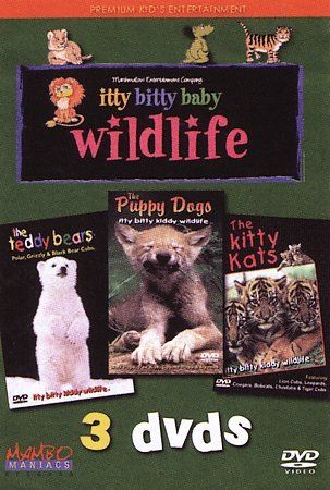 Itty Bitty Baby Wildlife - (Region 1 Import DVD)