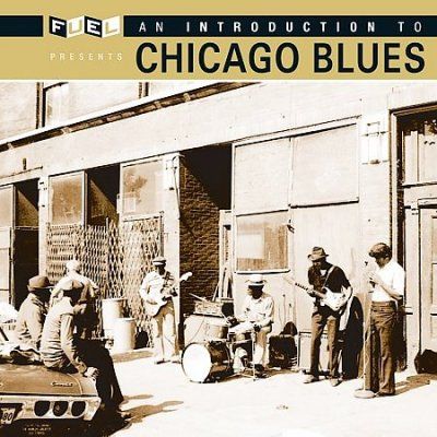 Various - Introduction To Chicago Blues (CD)