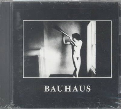 Bauhaus - In The Flat Field (CD)