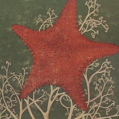 Blithe Sons - Arm Of The Starfish (CD)