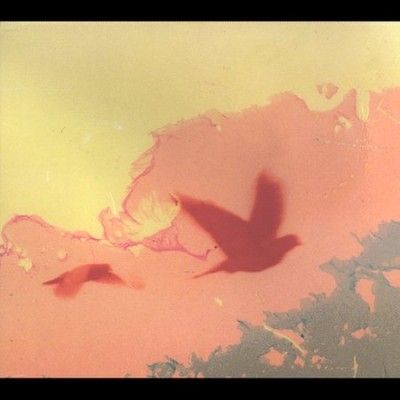 Thomas &amp; Sampson - When The Lower Resembles The Higher (CD)