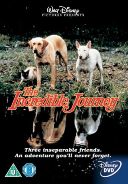 Incredible Journey (1963) - (Import DVD)