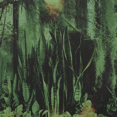 Promise Ring - Wood / Water (CD)