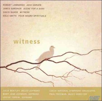 Czech Northern Symph - Hoffman: Witness (CD)