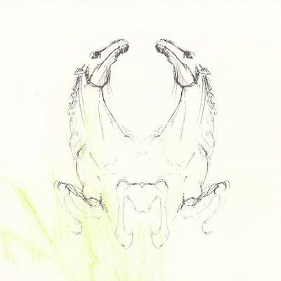 My Brightest Diamond - Tear It Down (CD)