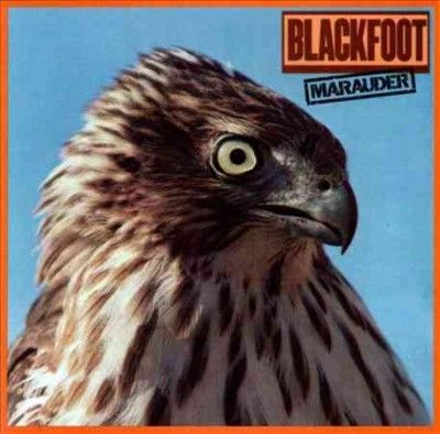 Marauder (Cd image