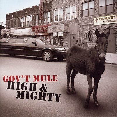 Gov't Mule - High &amp; Mighty (CD)