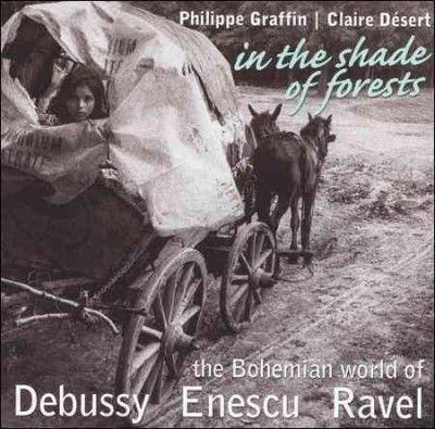 Philippe Graffin - In The Shade Of Forests Bohemian Worl (CD)