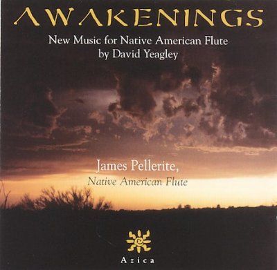 James Pellerite - Awakenings (CD)