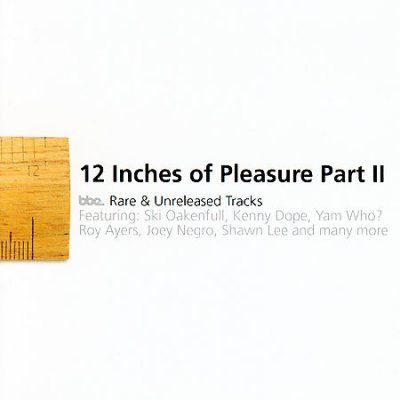Twelve Inches of Pleasure V2 - (Import CD)