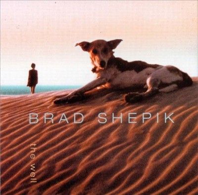 Brad Shepik - Well (CD)