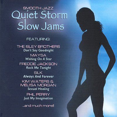 Various - Quiet Storm Slow Jams (CD)