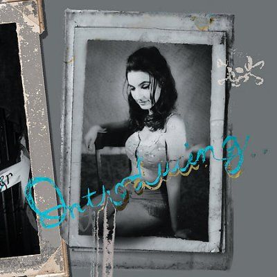 Denver Gentlemen - Introducing The Denver Gentlemen (CD)