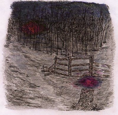 Telepathe - Farewell Forest (CD)