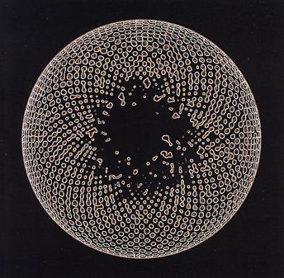 Organ Eye - (Import CD)