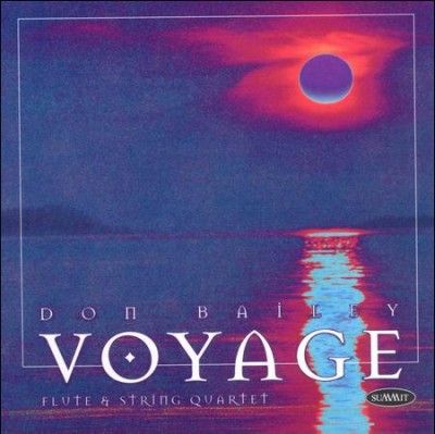 Don Bailey - Voyage (CD)