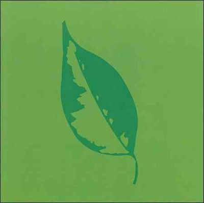 Rafael Toral - Cyclorama Lift 3 (CD)
