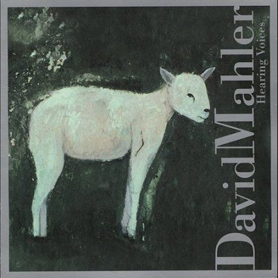 David Mahler - Hearing Voices (CD)