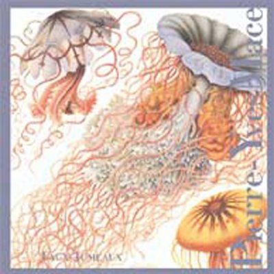 Pierre - Yves Mace - Faux Jumeaux (CD)