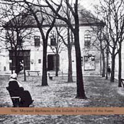 Selfhaters - Abysmal Richness Of The Infinite Prox (CD)