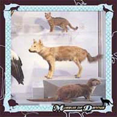 Danny Cohen - Museum Of Dannys (CD)