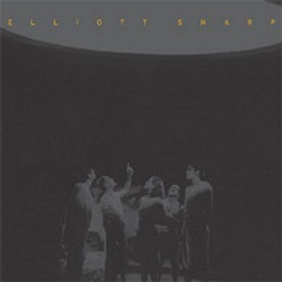 Elliott Sharp - Suspension Of Disbelief (CD)