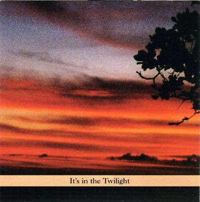 Paul Shapiro - It's In The Twilight (CD)