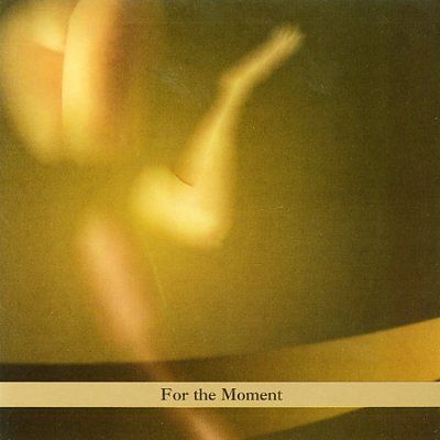 Paul Brody - For The Moment (CD)