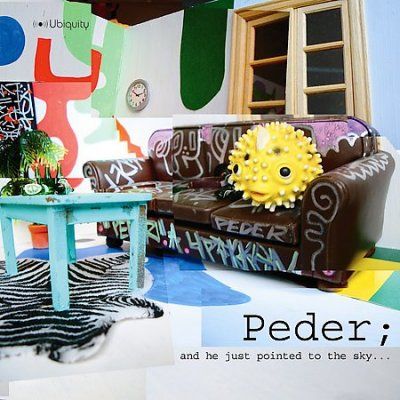 Peder - He Just Pointed To The Sky (CD)
