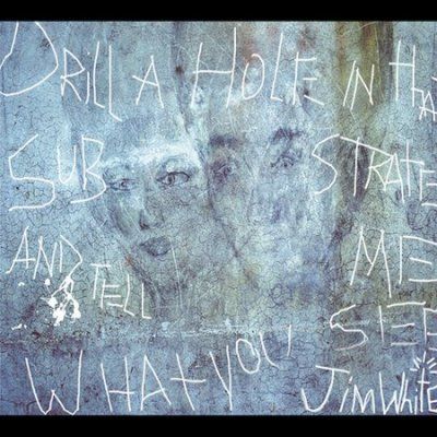 Jim White - Drill A Hole In That Substrate And Te (CD)